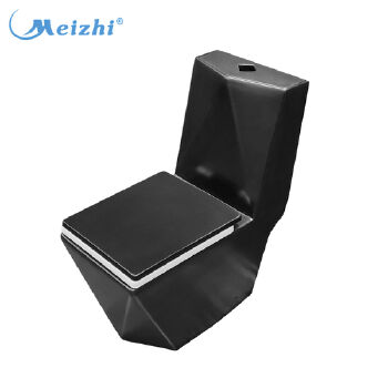 Floor mounted porcelain black color european toilet water closets 